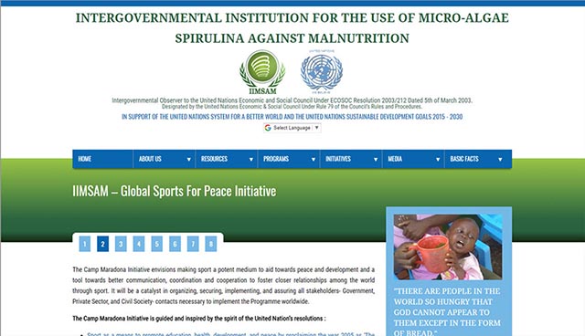 screenshot of middle section of IIMSAM home page